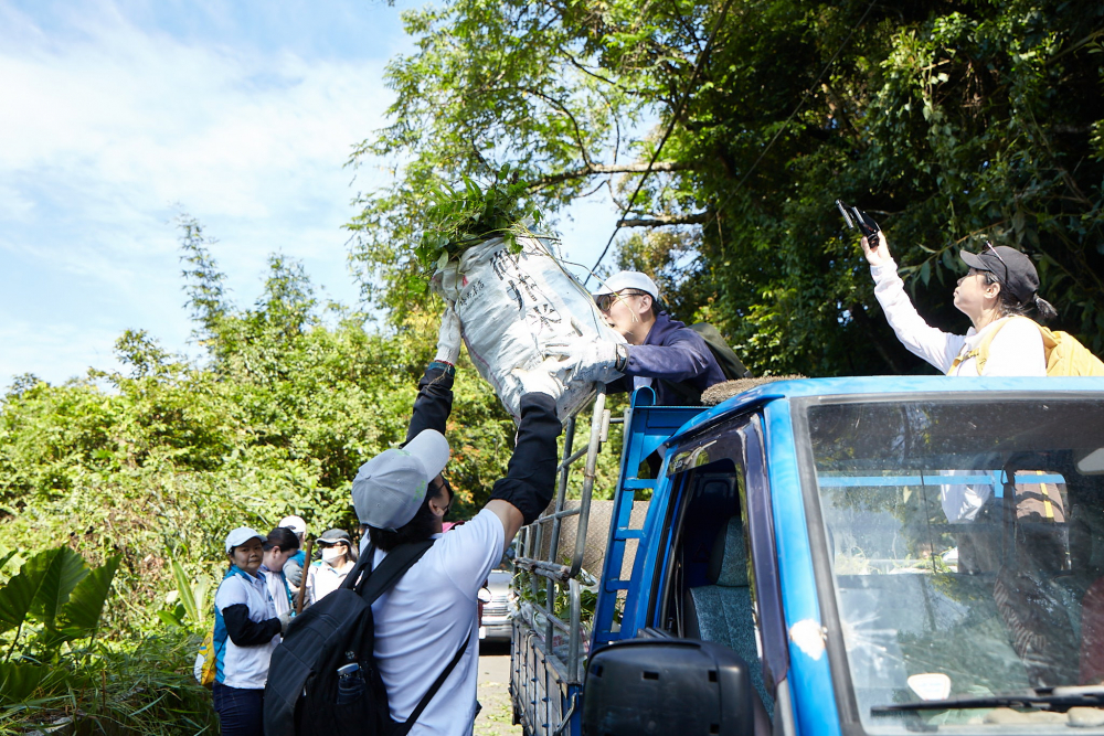 友達串聯志工組成水環境巡守隊，針對霄裡溪沿岸3公里的小花蔓澤蘭，定期進行移除與防治工作